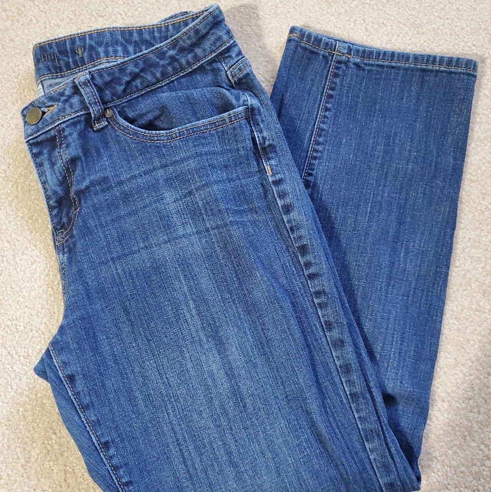 Jennifer Lopez Jeans